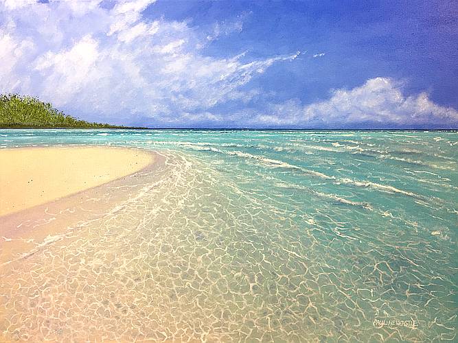The Shallows