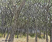 Matta Woodland View